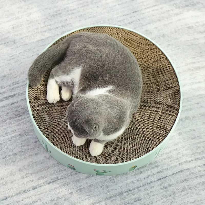 Round Type Cat Catnip Scratch Board
